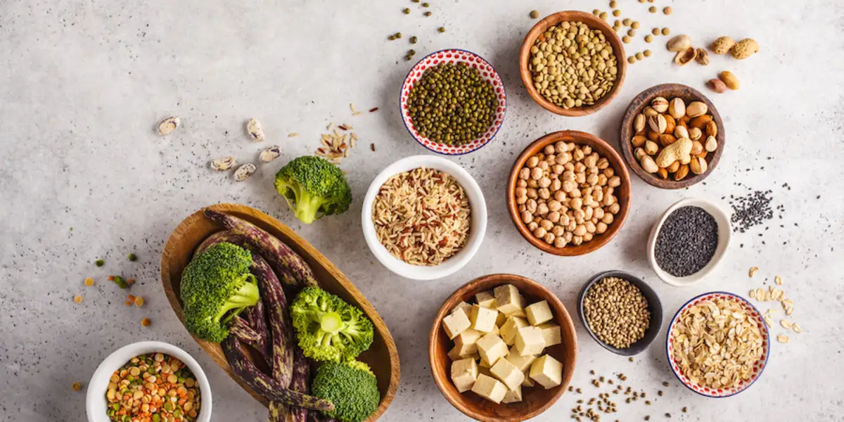 plant-based protein healing and nutrition uk