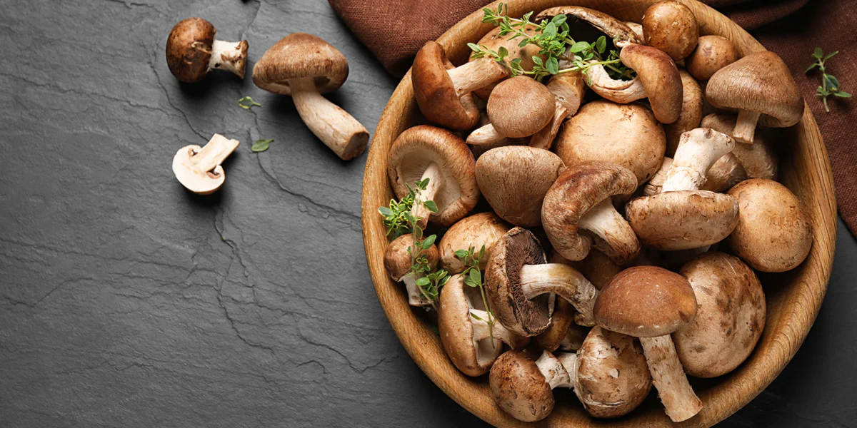 best medicinal mushrooms healing and nutrition uk